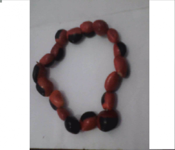 pulseira de olho de cabra